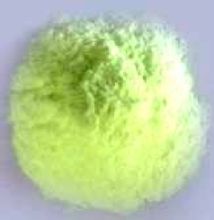 Dihidropiridina Páginas [1] Conocimiento enciclopédico del Mundo